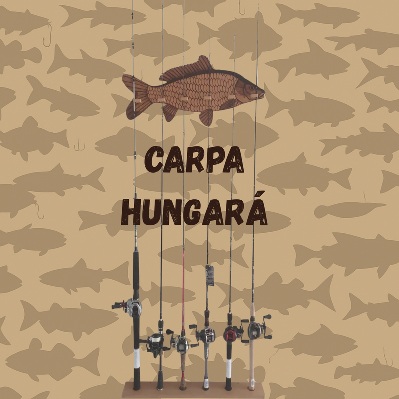 Suporte de Varas FishHolder™ [Organização e Praticidade Para Suas Varas]