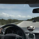 Carrinho GiroPlay™ [Modelo Direcionável]